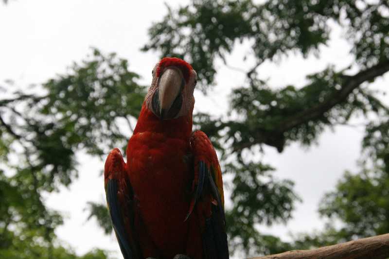 Mexico & Guatemala 2010 - 0899